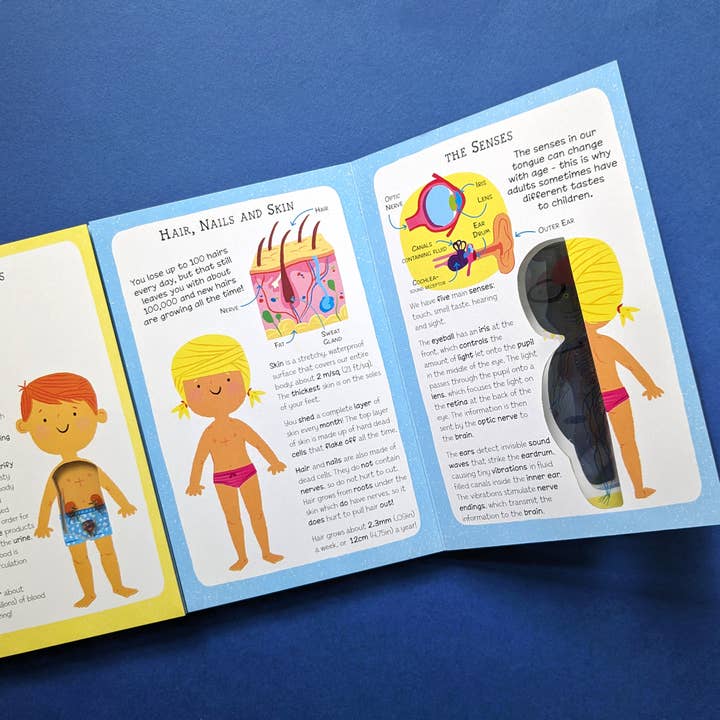 Robert Frederick Ltd - Wholesale Book - Kids - My First Human Body Book - New Version