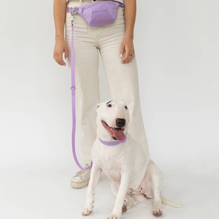 Springland Pets - Wholesale Pet Leash - Dog - Hands-Free Dog Walking Sling Bag with Leash (4 Pack)6