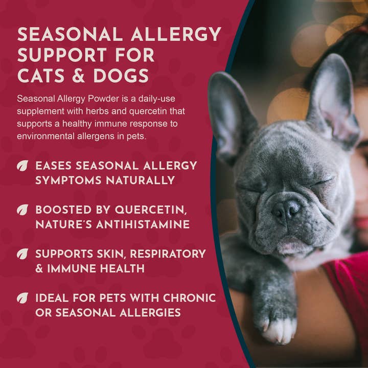 Animal Essentials - Wholesale Pet Supplement - Cat/Dog - Seasonal Allergy Powder + Quercetin | Allergy Support5