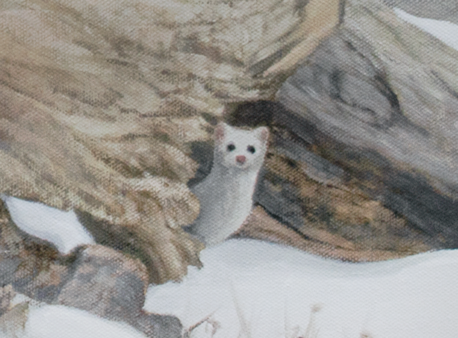 James Corwin Fine Art – Engroshandel Kunsttryk – Spirit - Native American Horse Western Animal Art Print4