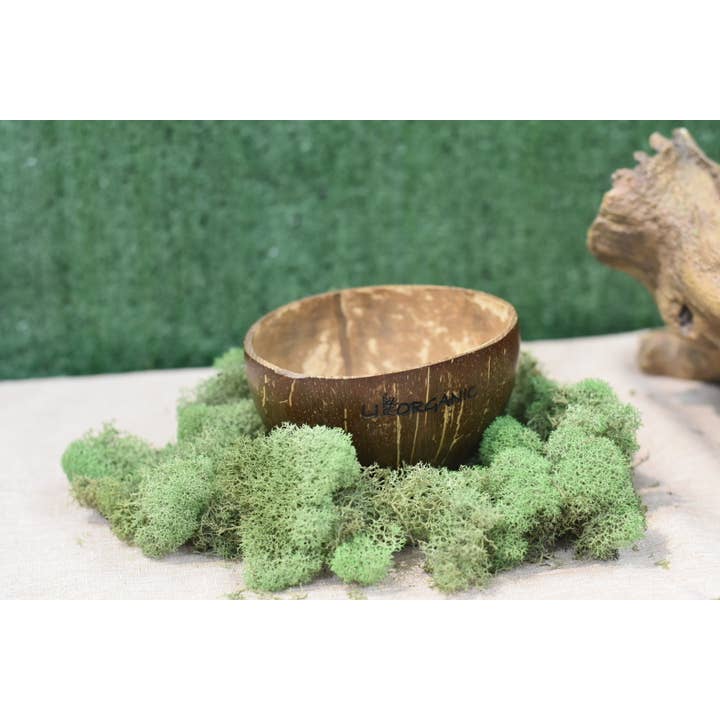 Livorganic Essentials LLC - Wholesale Bowl - Coconut Shell Bowl | Natural and Handcrafted5
