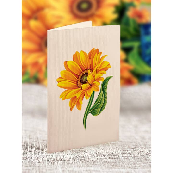 FreshCut Paper LLC - Wholesale Everyday Greeting Card - Sunflower (Updated Vase) (8 Pop-up Greeting Cards)4