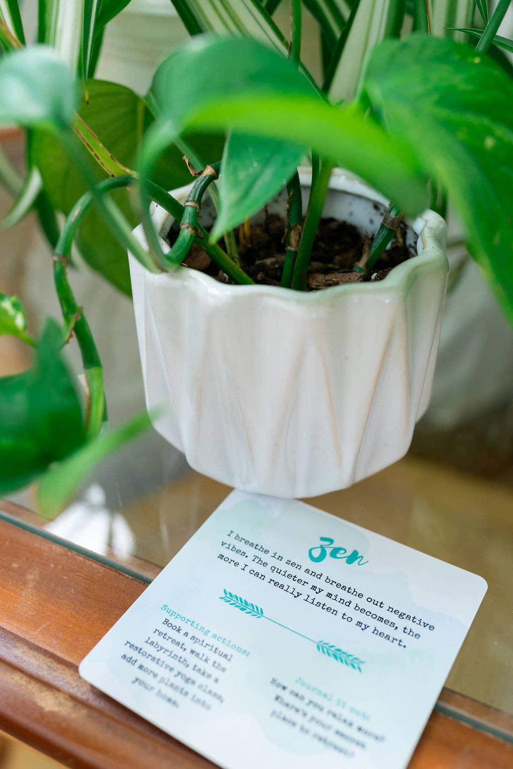 Healthy Chicks - Wholesale Tarot/Oracle Card - Spark Your Bliss Affirmation Card Deck6