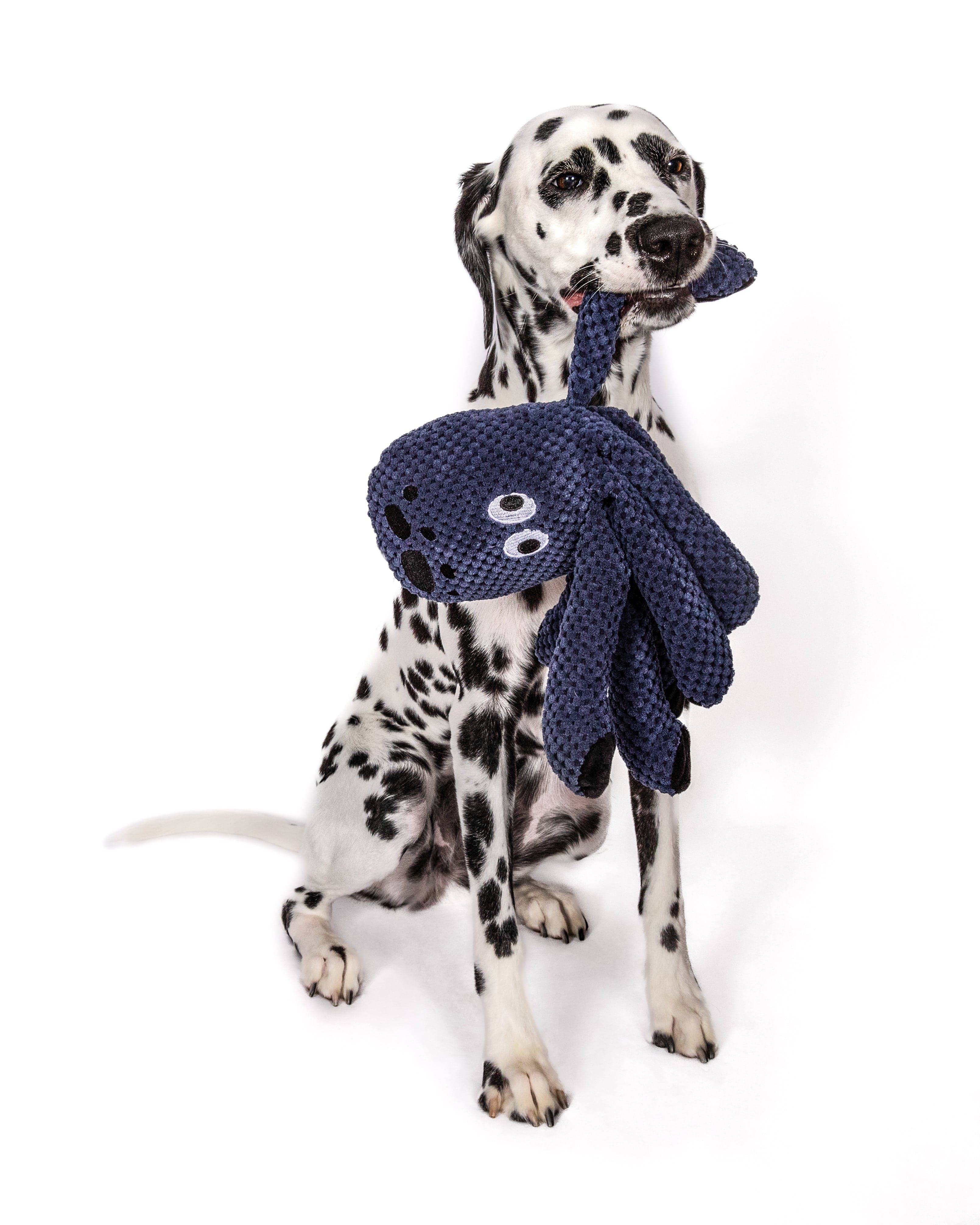 fabdog - Wholesale Pet Plush Toy - Dog - Floppy Octopus3