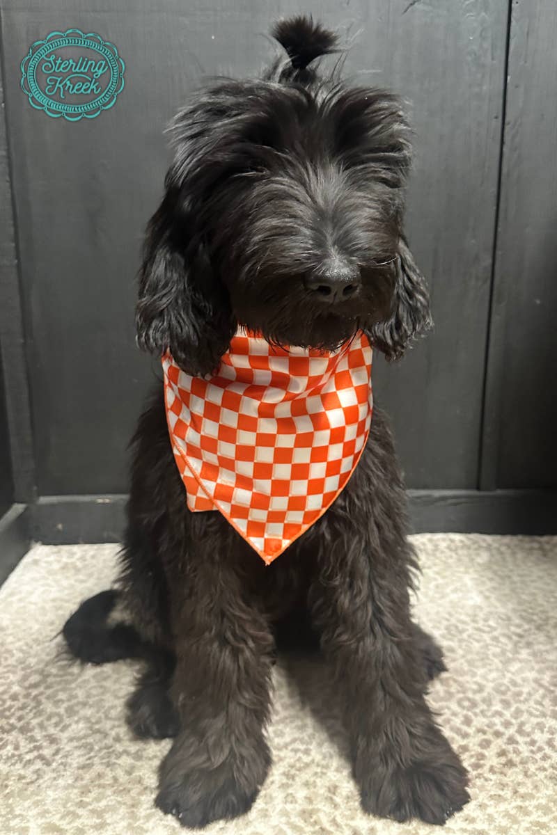 Sterling Kreek - Wholesale Scarf - Women's - Pep Rally Wild Rag Orange Kids