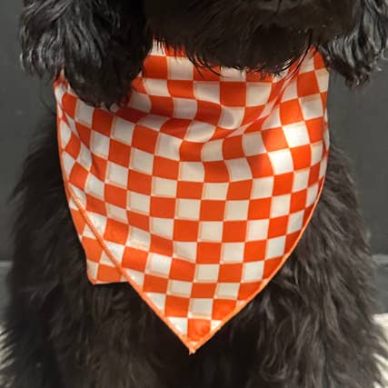 Sterling Kreek - Wholesale Scarf - Women's - Pep Rally Wild Rag Orange Kids0