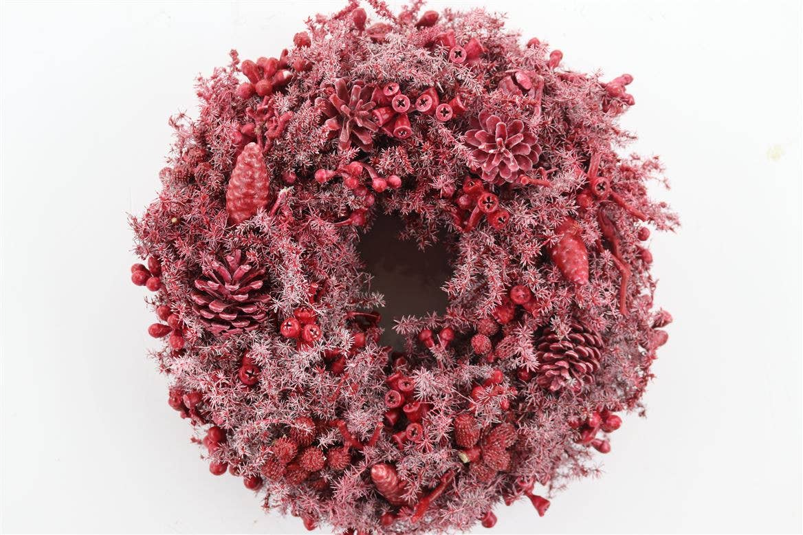 Dutch Flower Studio - Wholesale Wreath - Wreath - Mixed fruit - Decoration - Dried - Various colors1