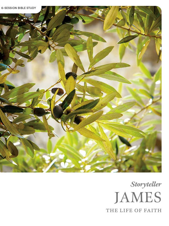 James - Storyteller - Bible Study Book for wholesale by Lifeway
