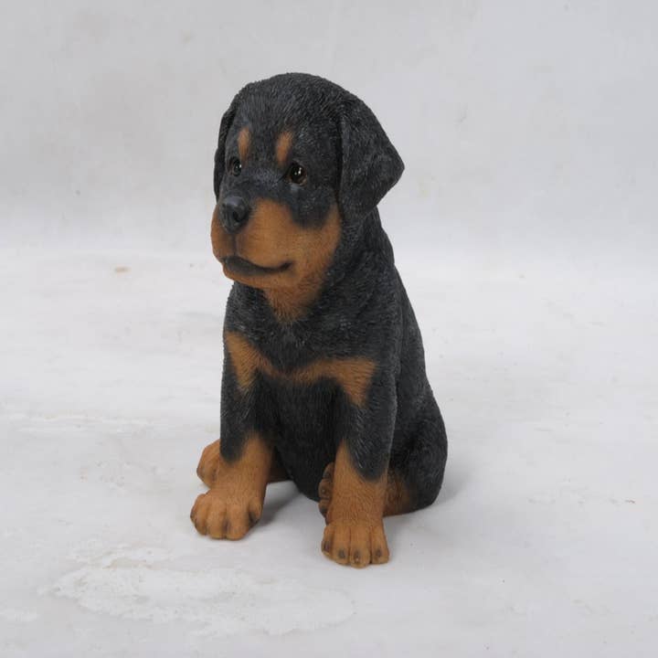 Hi-Line Gift Ltd. - Vente Bibelots/décorations d'extérieur - Chiot Rottweiler