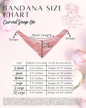 StellaLoo - Venta al por mayor Bandana - Perros - Pañuelo Reversible para Perros Coquette Martini, Collares para Mascotas con Broche5