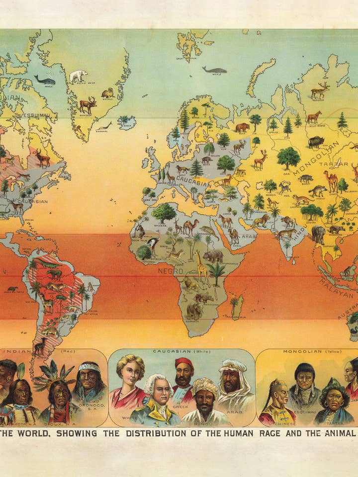 Postal Climático do Mundo (230618) por atacado de The Knowledge of Things by Catch Publishing