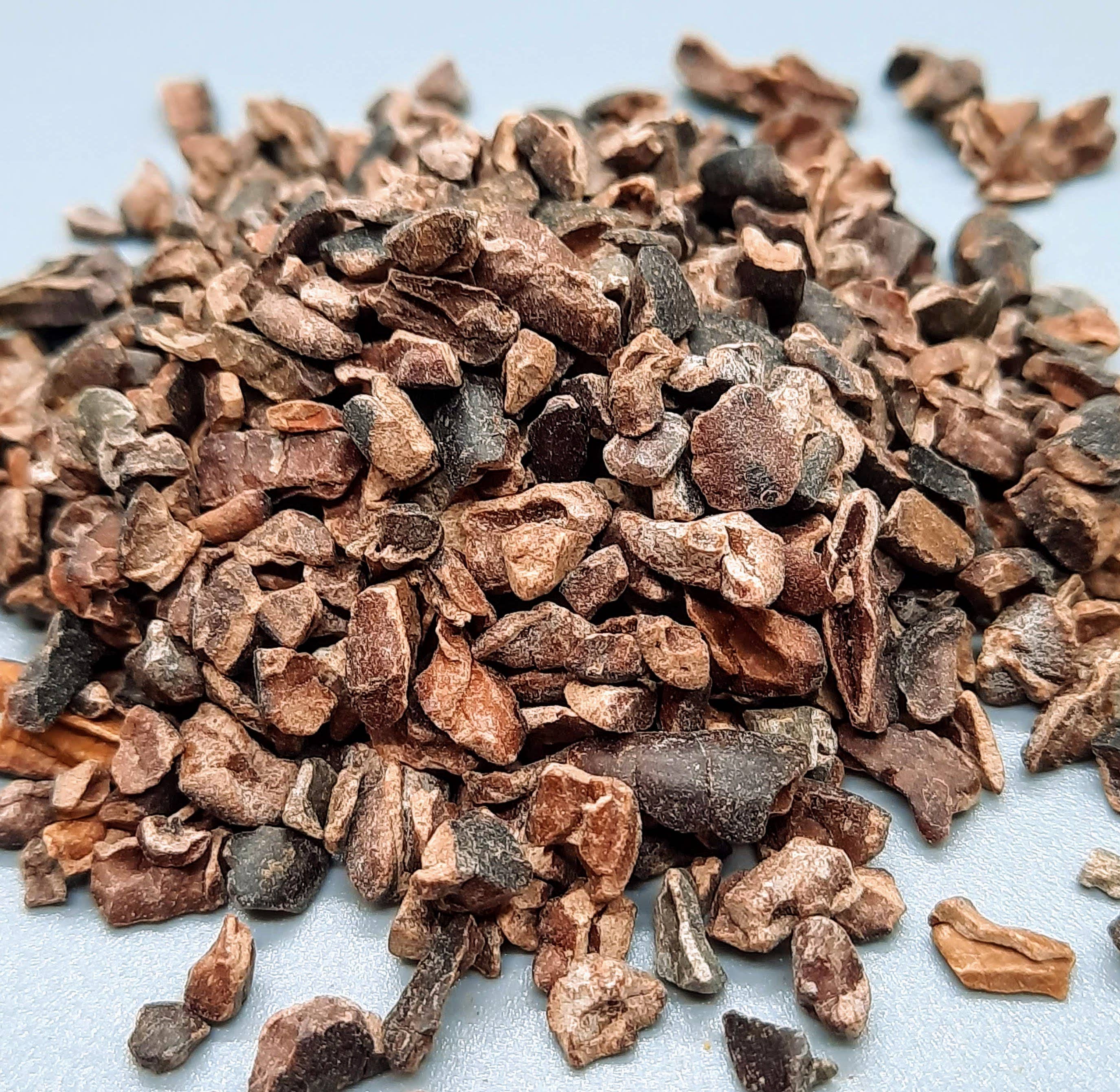 Paktli Foods - Wholesale Chocolate Covered Sweets - NEW Dark Chocolate Alegria Bites+Blueberries/Cacao Nibs4