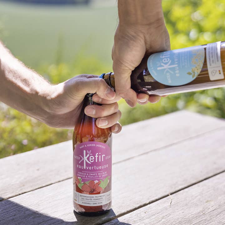 Kéfir Eau Vertueuse – Engroshandel Kombucha – Kefir Vand Dydig med Økologiske Hyldeblomster