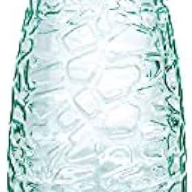 Alta Gama Foods – wholesale Kolsyrat vatten – Vichy Catalan - Spanien - Mousserande vatten - 1 liter (fodral med 12)