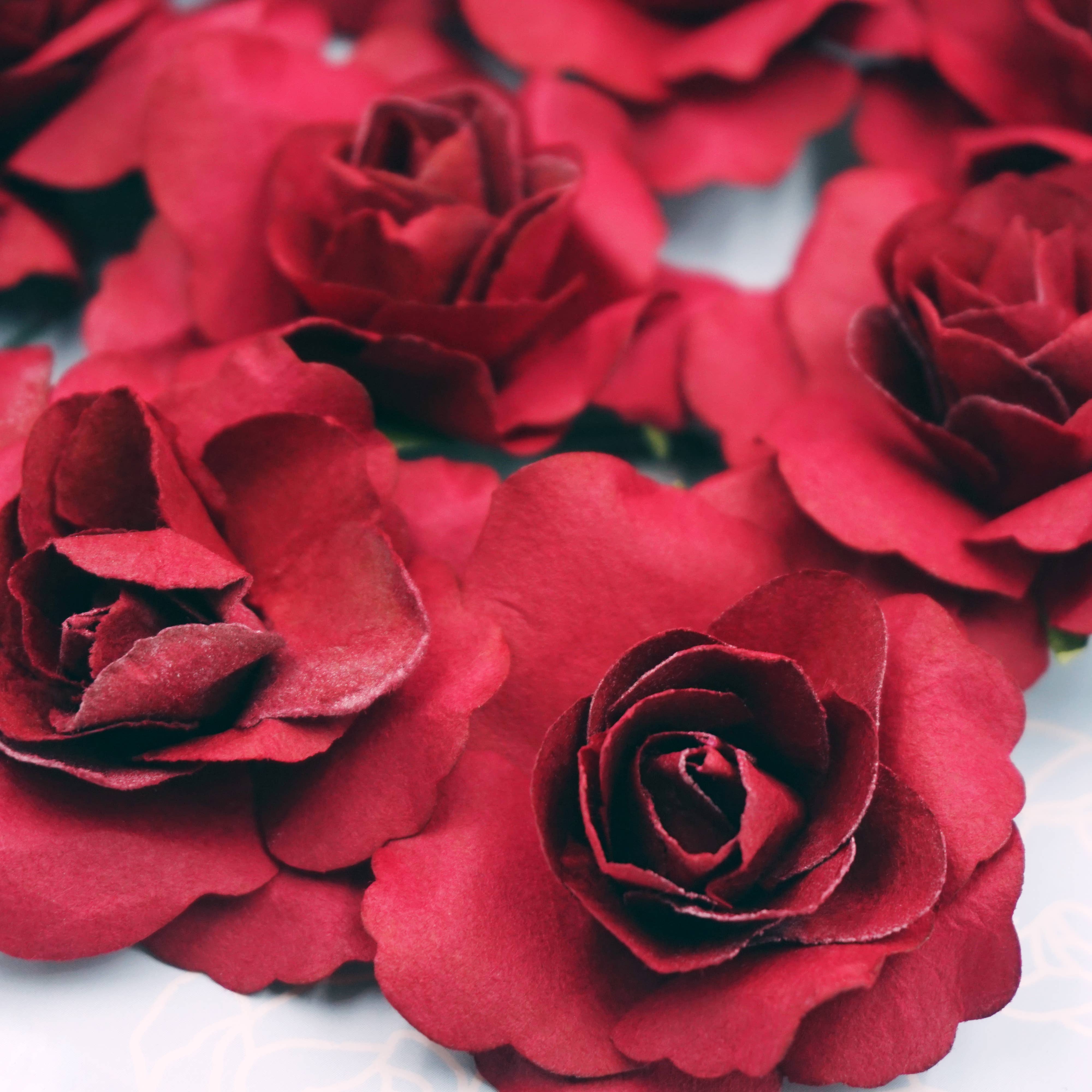 Angels Craft - Vente Fleurs artificielles - Fleurs en papier 1,72 po (roses) avec fil, 9 carats1