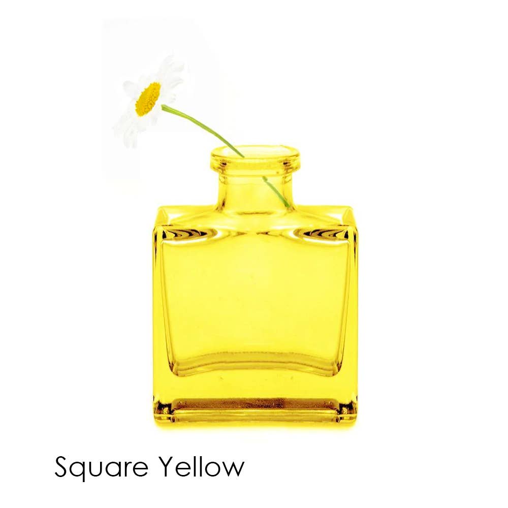 Chive - Wholesale Vase - Loft  Colorful Transparent Bud Vase Set Oval, Round, Square23