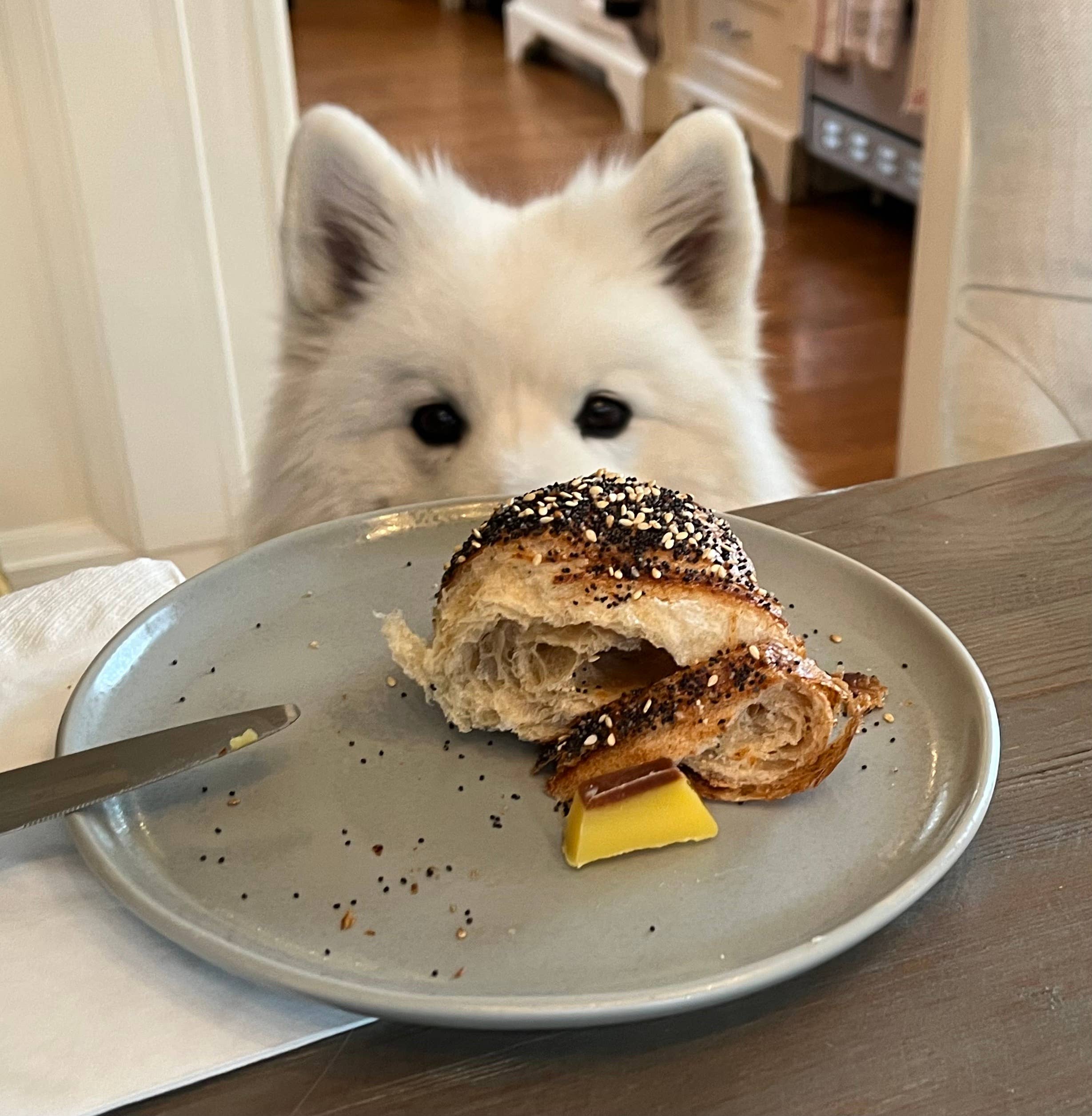 Buji Brown Butter - Wholesale Butter - Buji Brown Butter Stick 5