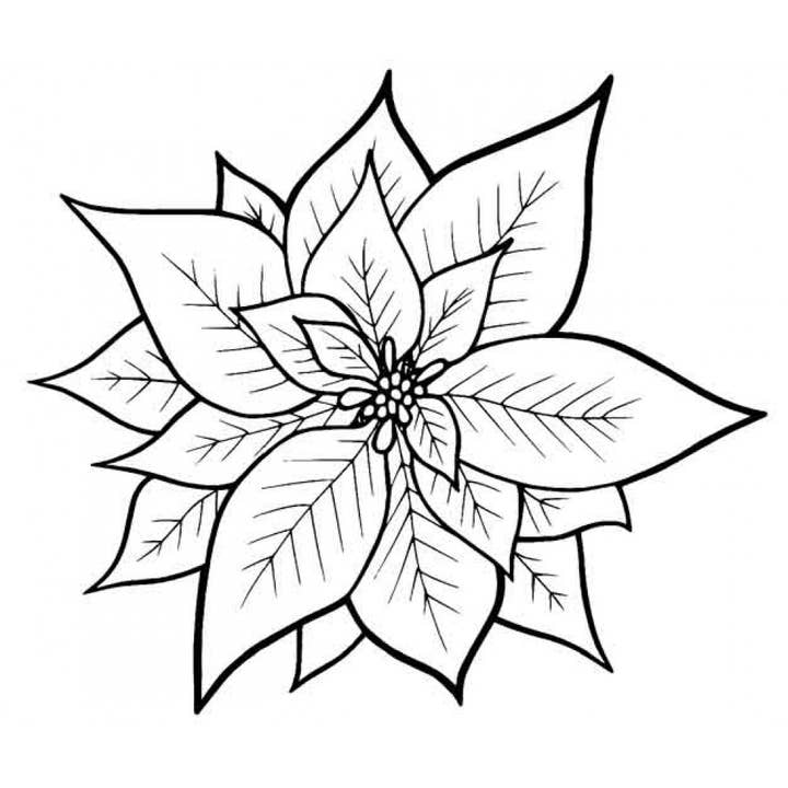 Poinsettia Large Cling Rubber Stamp for wholesale by Stamp Addicts