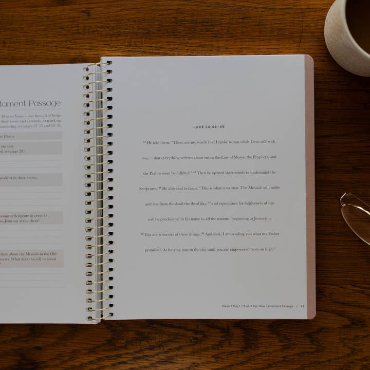 The Daily Grace Co - Wholesale Book - Adult - Christ in All of Scripture | Volume 1