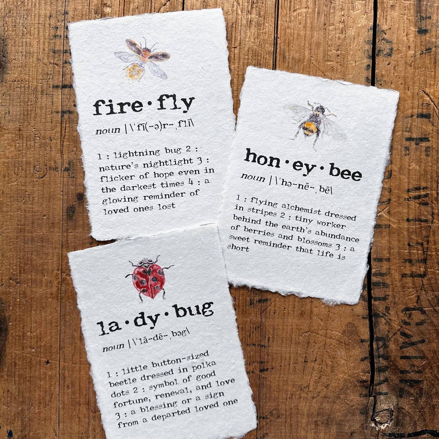 Alison Rose Vintage - Wholesale Art Print - ladybug definition print in typewriter font on handmade paper4