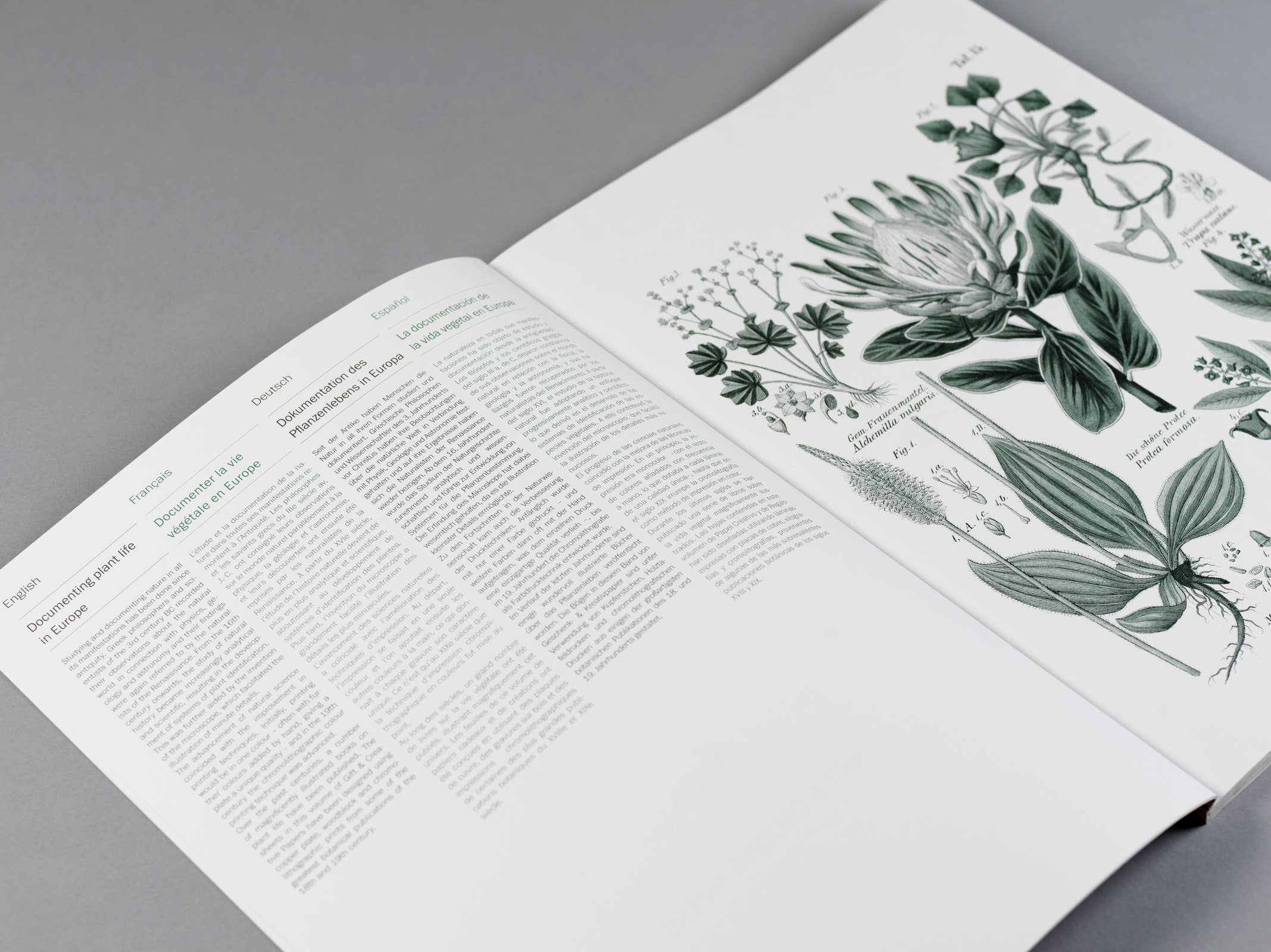 Pepin Press – wholesale Flat wrap – Flora Gift & Creative Paper Book Vol. 852