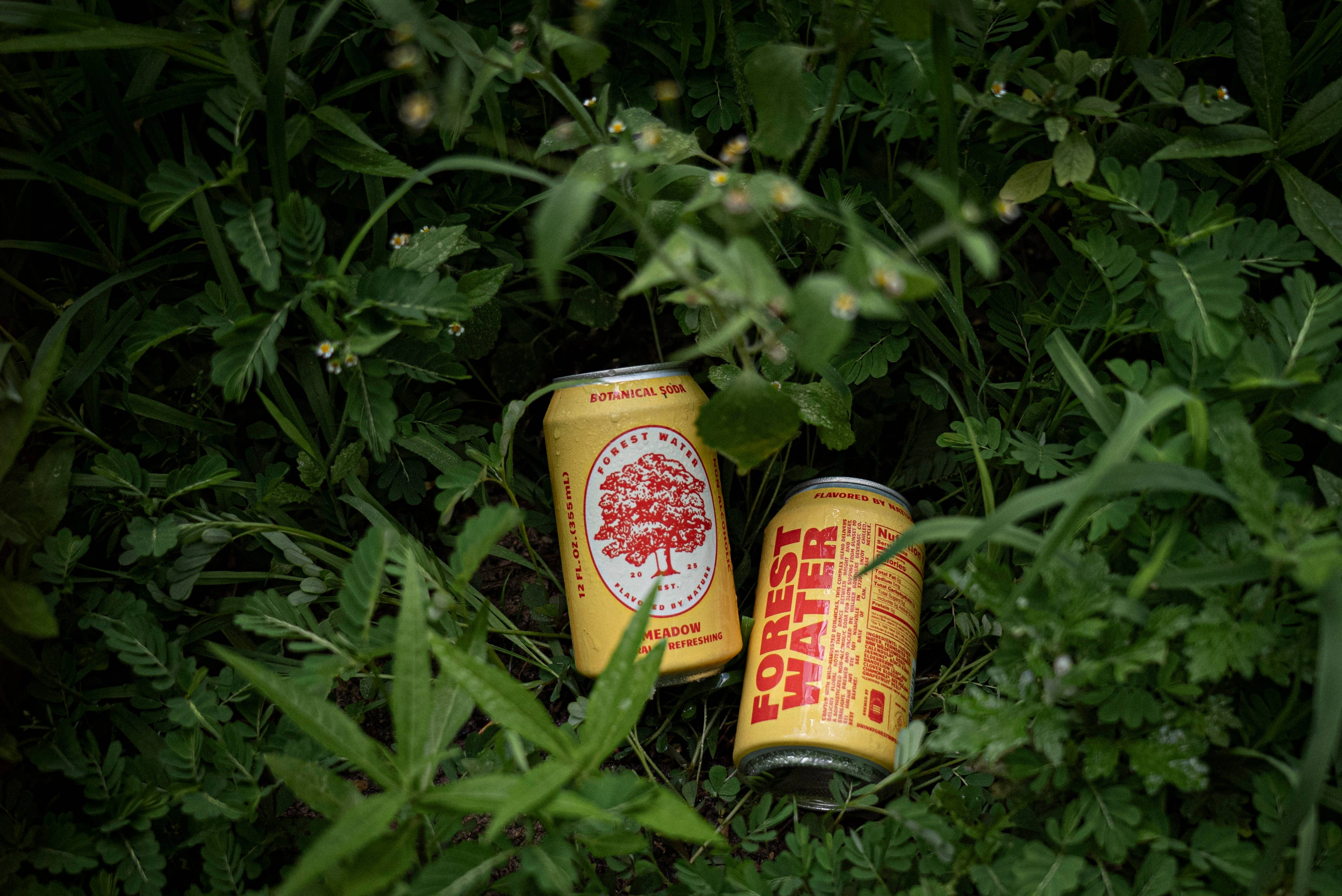 Walker Brothers - Wholesale Non-Alcoholic Aperitif/Mocktail - Meadow Forest Water | Non-Alc Botanical Soda