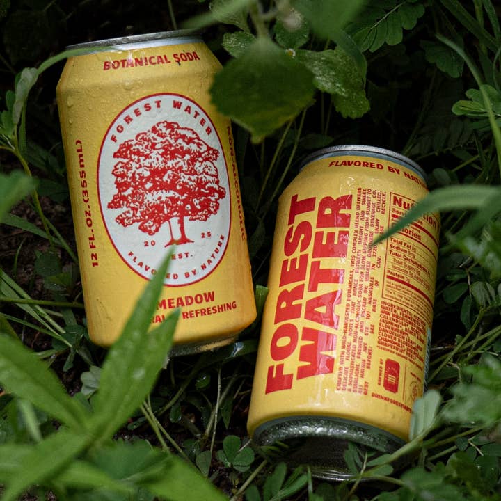 Floral and Refreshing Non-Alc Botanical Soda – Meadow and other Purchase Wholesale sparkling ice. Free Returns & Net 60 Terms on Faire trending on Faire.