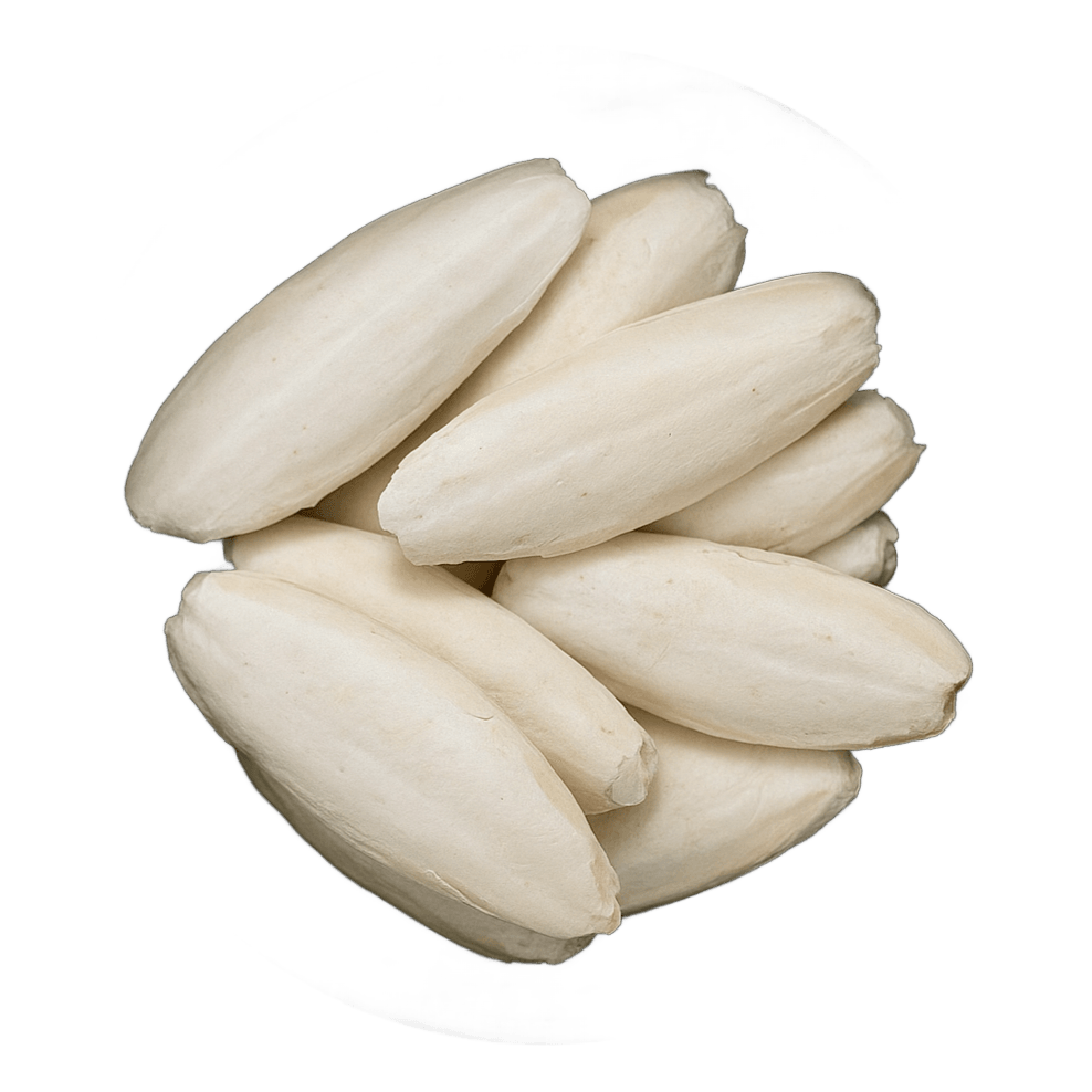 LA Herb - Wholesale Health/Detox Tea - Cuttlefish Bone Pieces (Sepia Esculenta)2