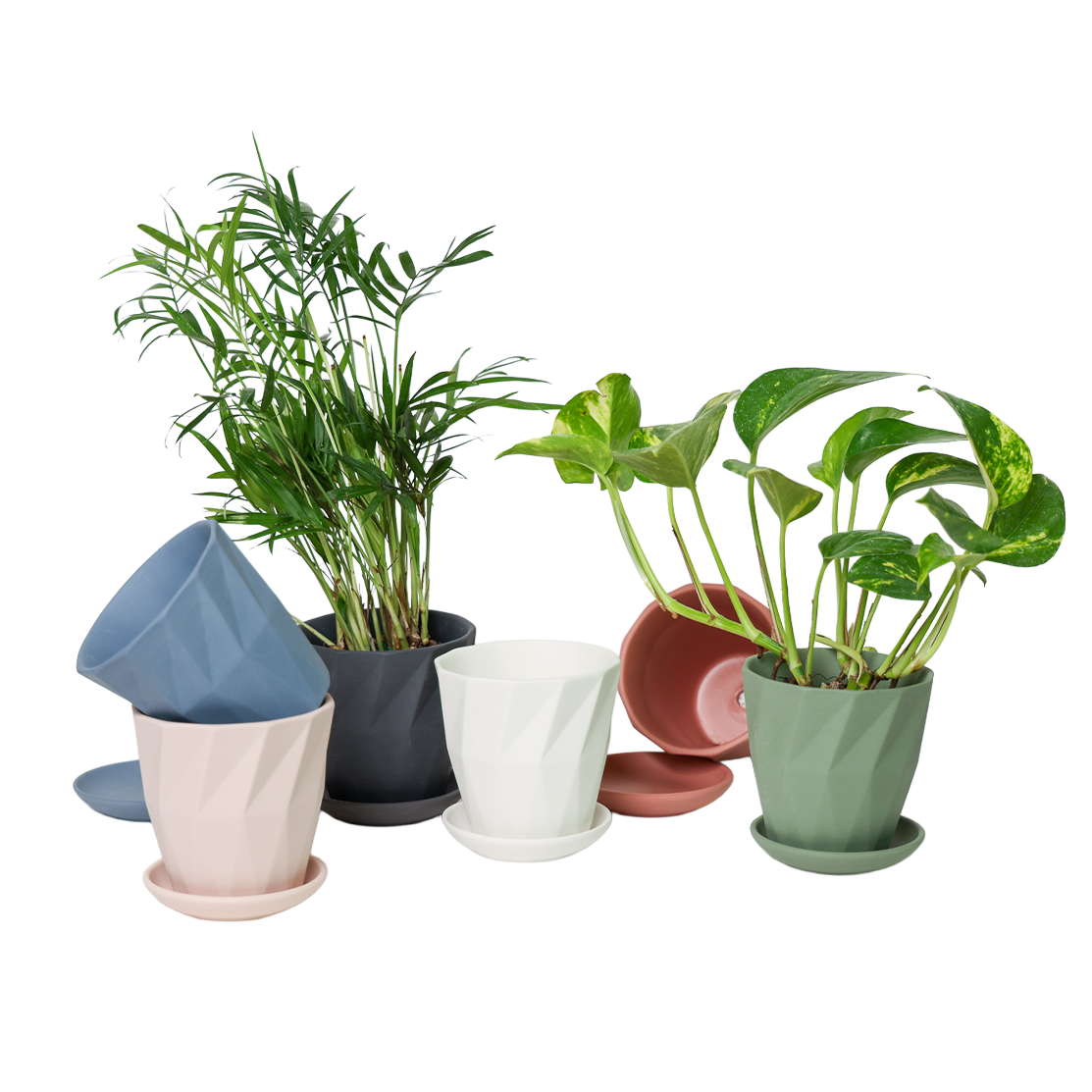 Chive - Wholesale Plant Pot - Handmade Ceramic Virago Pots | Artisan Plant Planters54