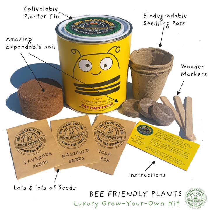 The Plant Gift Co. – wholesale Plant seeds – Big Bee Happiness Eco Plant Grow Kit, Gardening Gift2