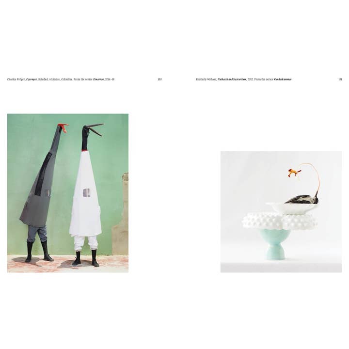 W. W. Norton - Wholesale Display Book - Aviary: The Bird in Contemporary Photography12