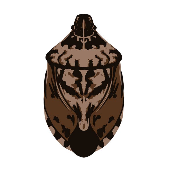 Pegatina de chinche apestosa para venta al por mayor de The Good Boy Collective