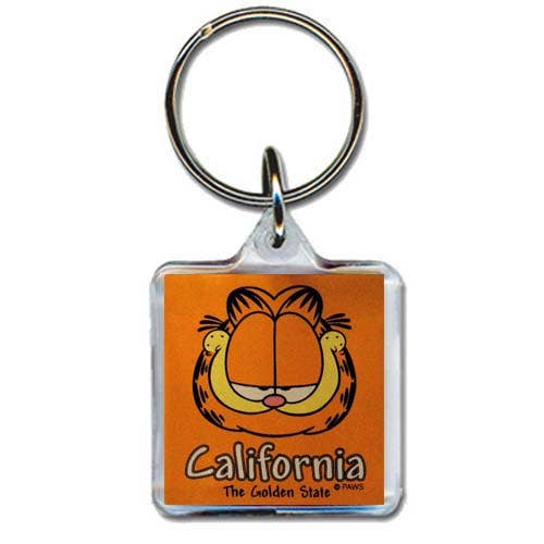 California Keychain Lucite Garfield Head for wholesale by Jenkins Enterprises