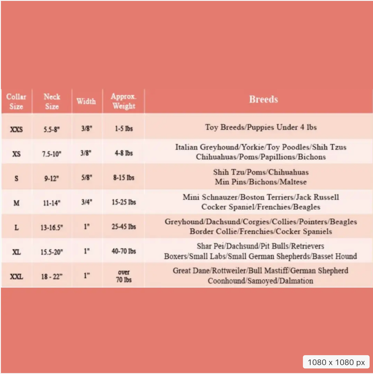 House of FurBaby – wholesale Halsband - Katt och hund – Personligt husdjurshalsband | Gepard, Guldbling2