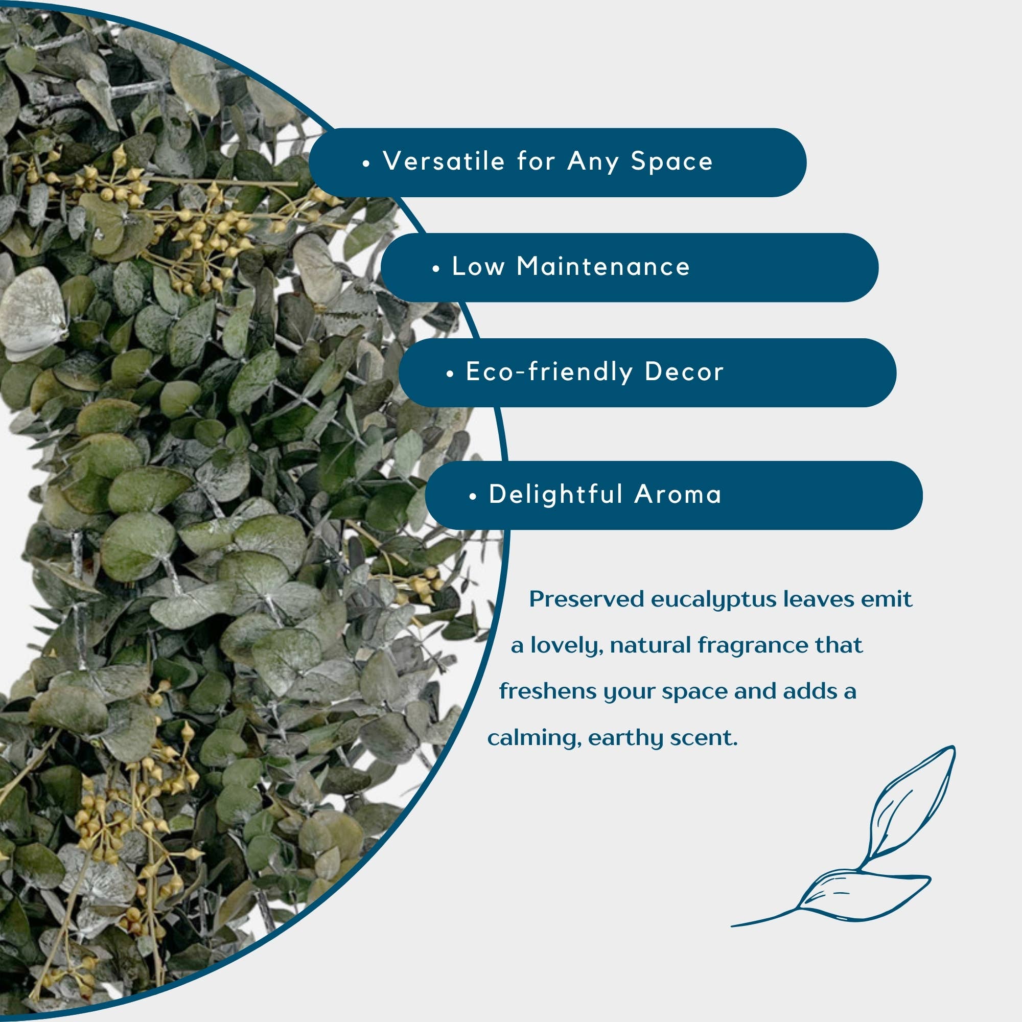 2626 Designs - Wholesale Wreath - Real Dried Preserved Decorative Eucalyptus Wreaths8