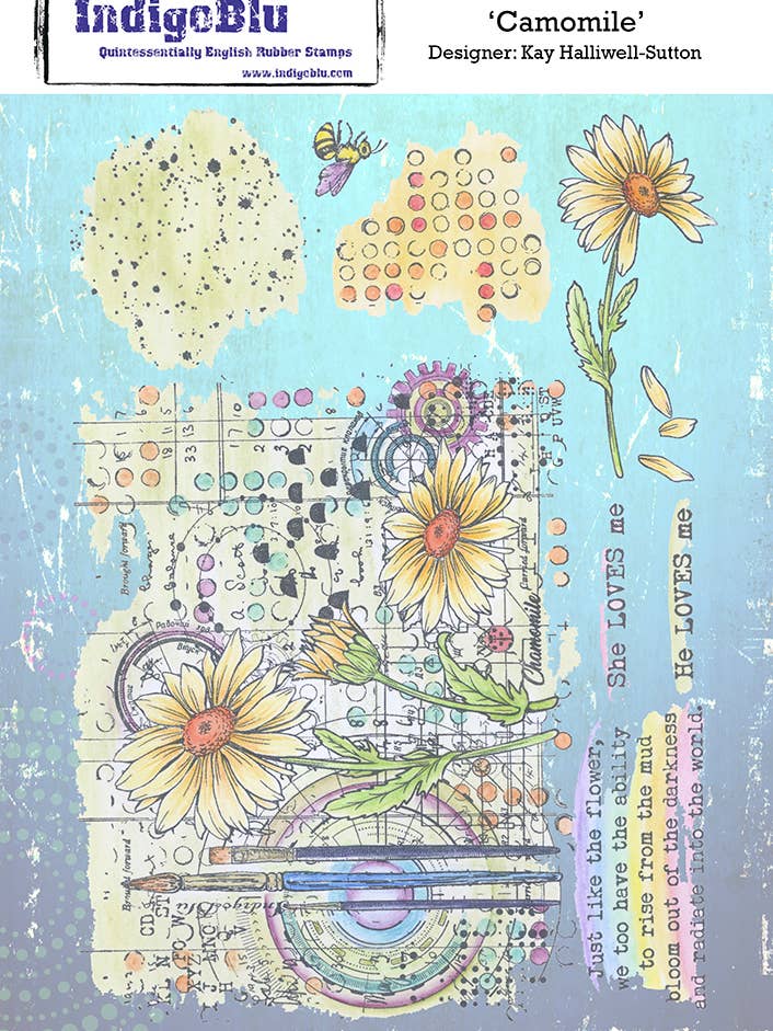 IndigoBlu A5 Red Rubber Stamp - Camomile for wholesale by IndigoBlu