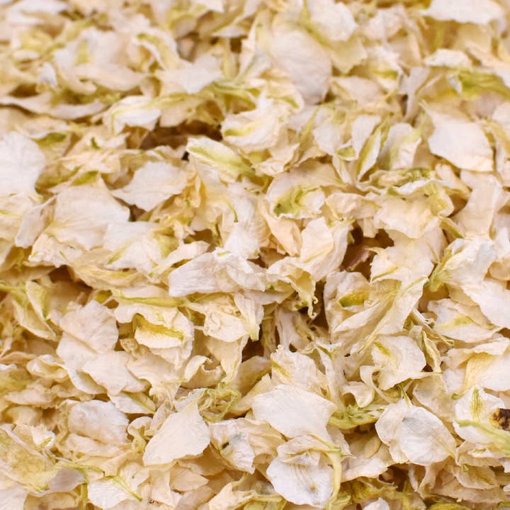 LSF Wholesale – Großhandel Konfetti – Will You Be My Brautjungfer Blume Konfetti Pop
