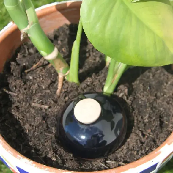 Poterie lutton - Vente Arrosoirs - Ollas Galet 15 cl – Arrosage autonome et stylé3