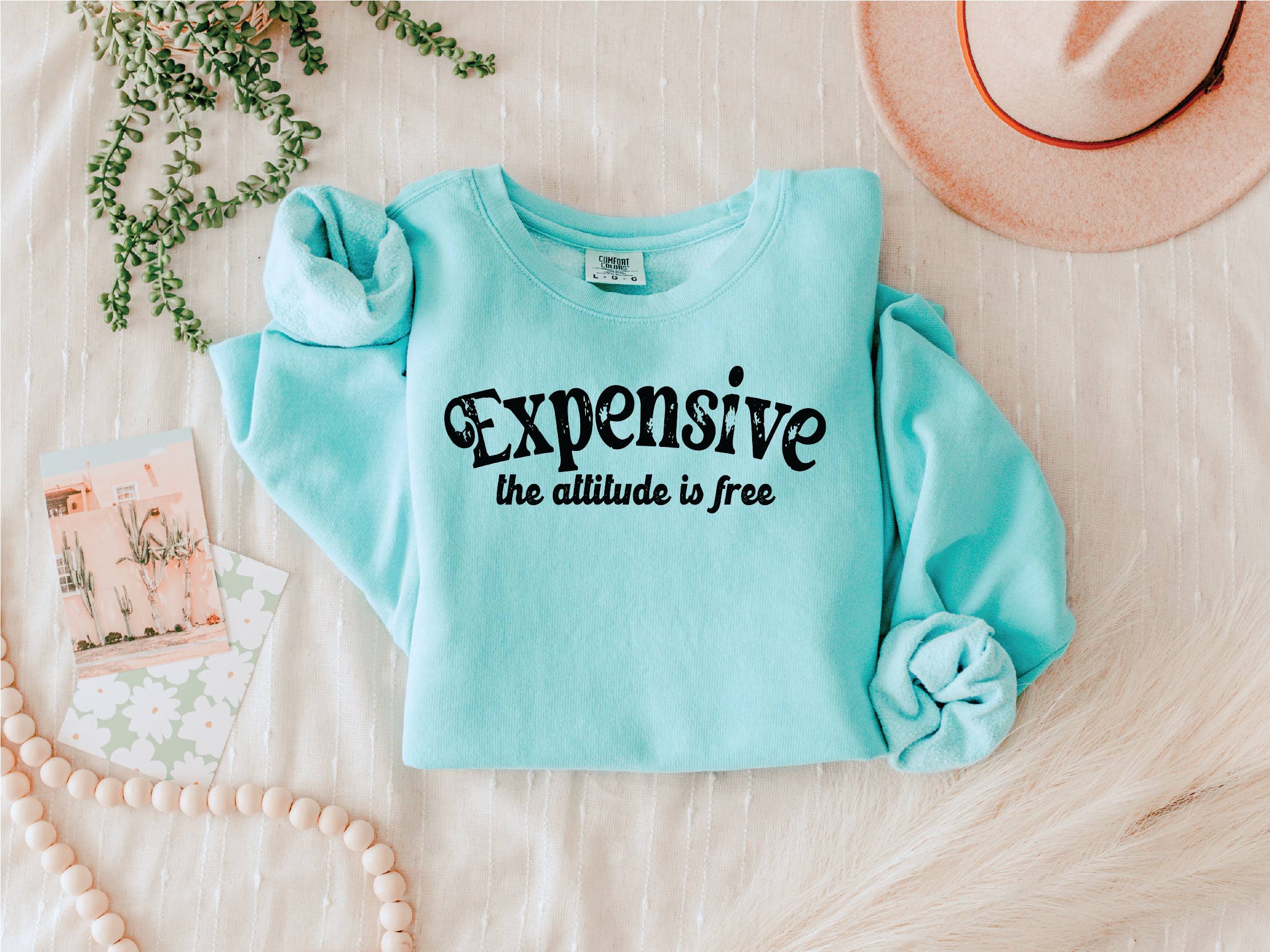 Southern Attitude Designs Inc - Wholesale Graphic Sweatshirt - Women's - Expensive Attitude is Free