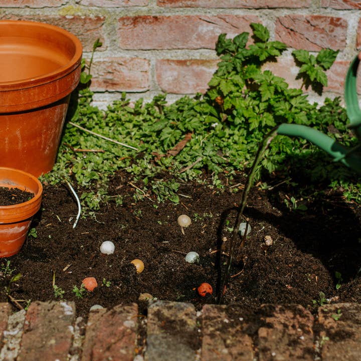 Blossombs - Wholesale Plant Seeds - Gift Box – Flowers for the sweetest Mum – with 4 Blossombs1