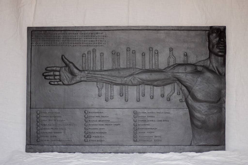 dellsculpture - Wholesale Sculpture - ANATOMICAL ARM4