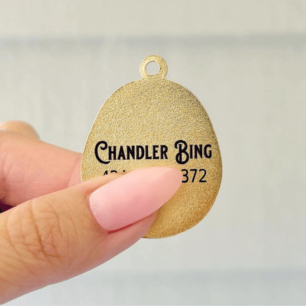 Barkada - Wholesale Halsbandlabel - Hond - Tamagotchi ID-tag voor honden en huisdieren6