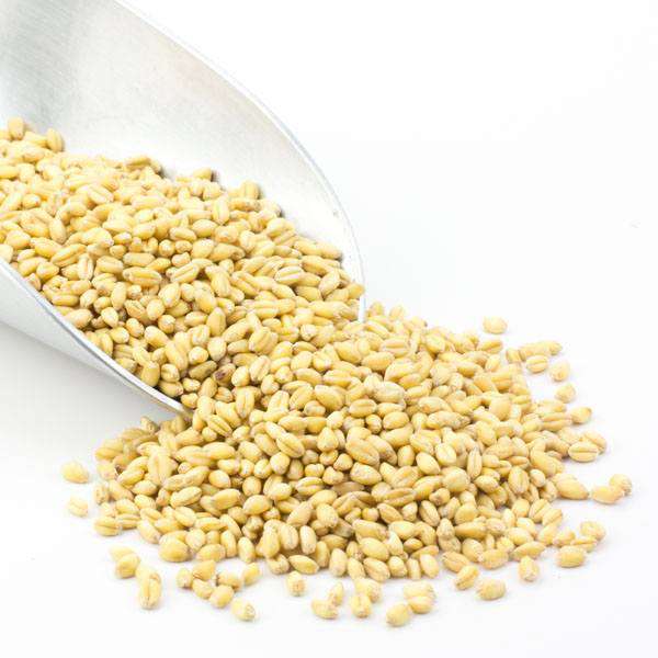 Country Life Natural Foods - Wholesale Whole Grains - Wheat Berries, Soft White, Organic0
