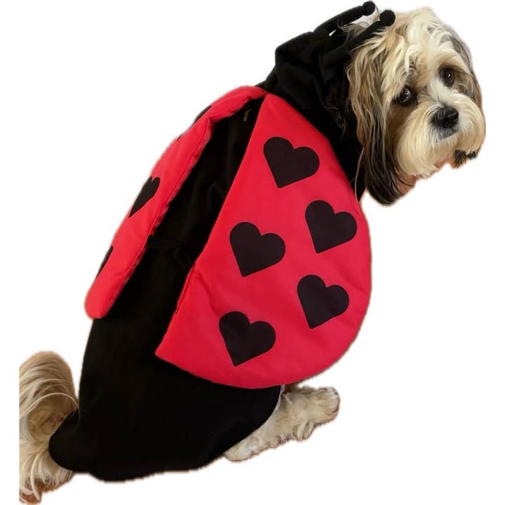 Show & Tail - Vendita all'ingrosso Costume da carnevale - Cani - Abbigliamento per animali domestici - Lady Bug
