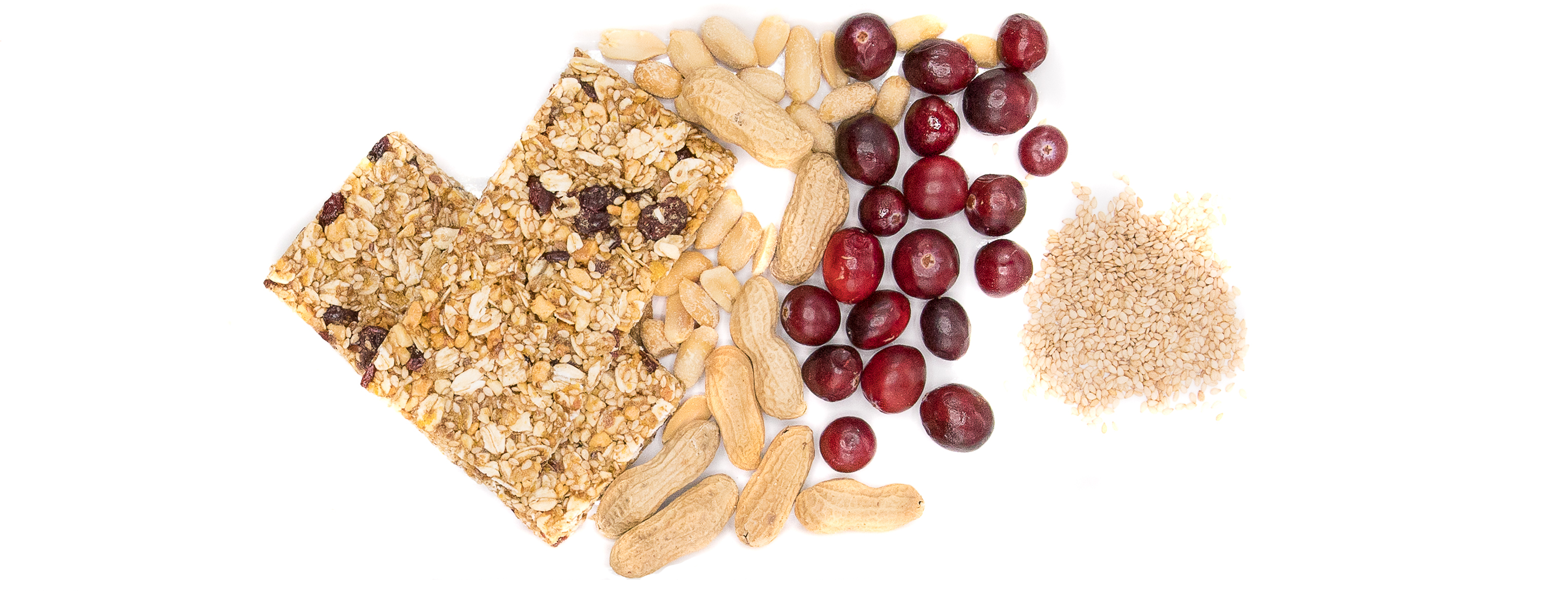 Dak Bar - Wholesale Snack Bar - Squirrel Bar - Peanut, Cranberry & Sesame Seed Snack Bar6