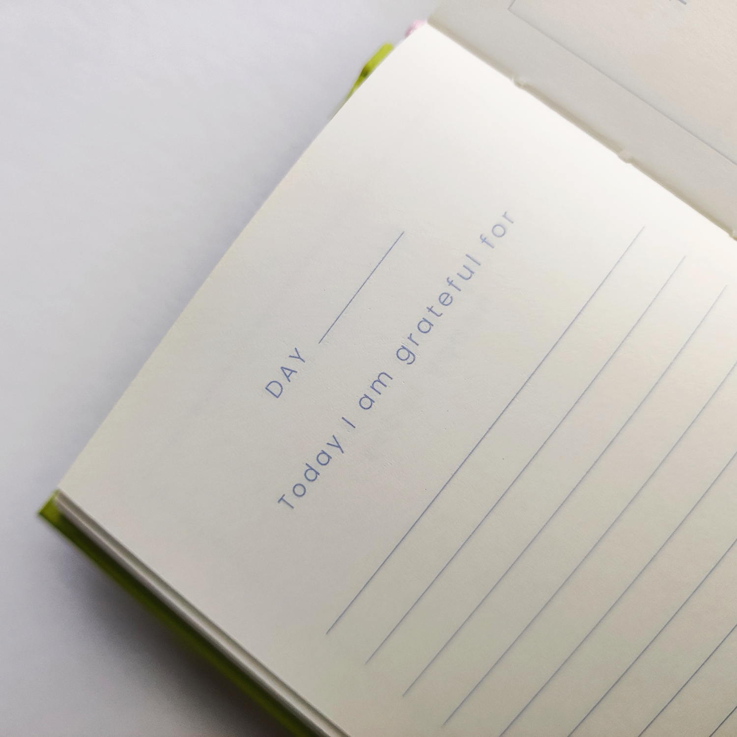 In Real Life - Vente Journal intime - Petit journal du bonheur Petalscape2