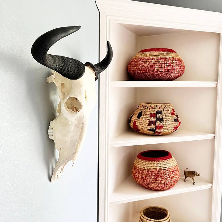 OUTPOST ORIGINAL - Wholesale Wall Accent - African Natural Wildebeest Horn - Full Skull