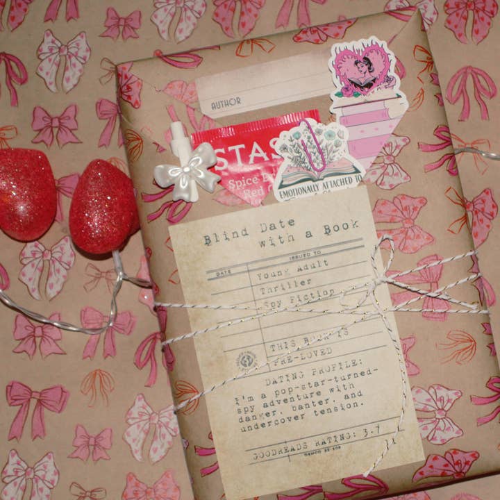Valentine's Day Edit - Blind Date w/ a Book (Mixed Genres) for wholesale by Gg's Gifts & Boutique