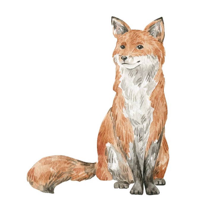 Fox Decals for wholesale by Cover-Alls Decals
