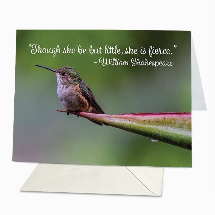 Colibrì piccolo ma feroce per la vendita all'ingrosso da parte di St Thomas Greetings